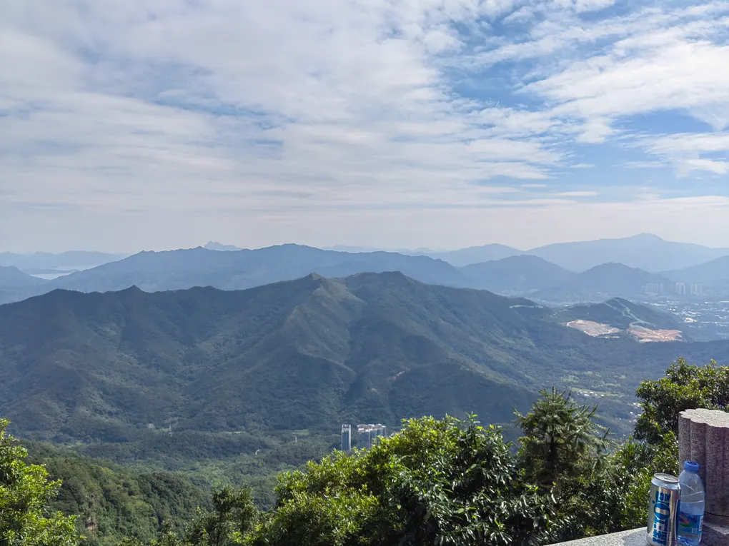 小提琴和爱如潮水