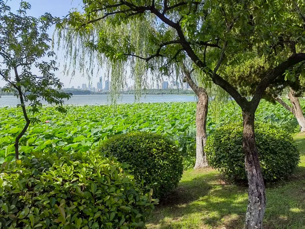 The 2025 ICPC North America Pacific Northwest Regional Contest (Div. 2, Open Mirror)赛后总结