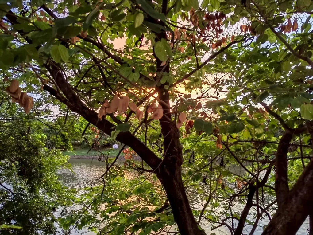 木剑