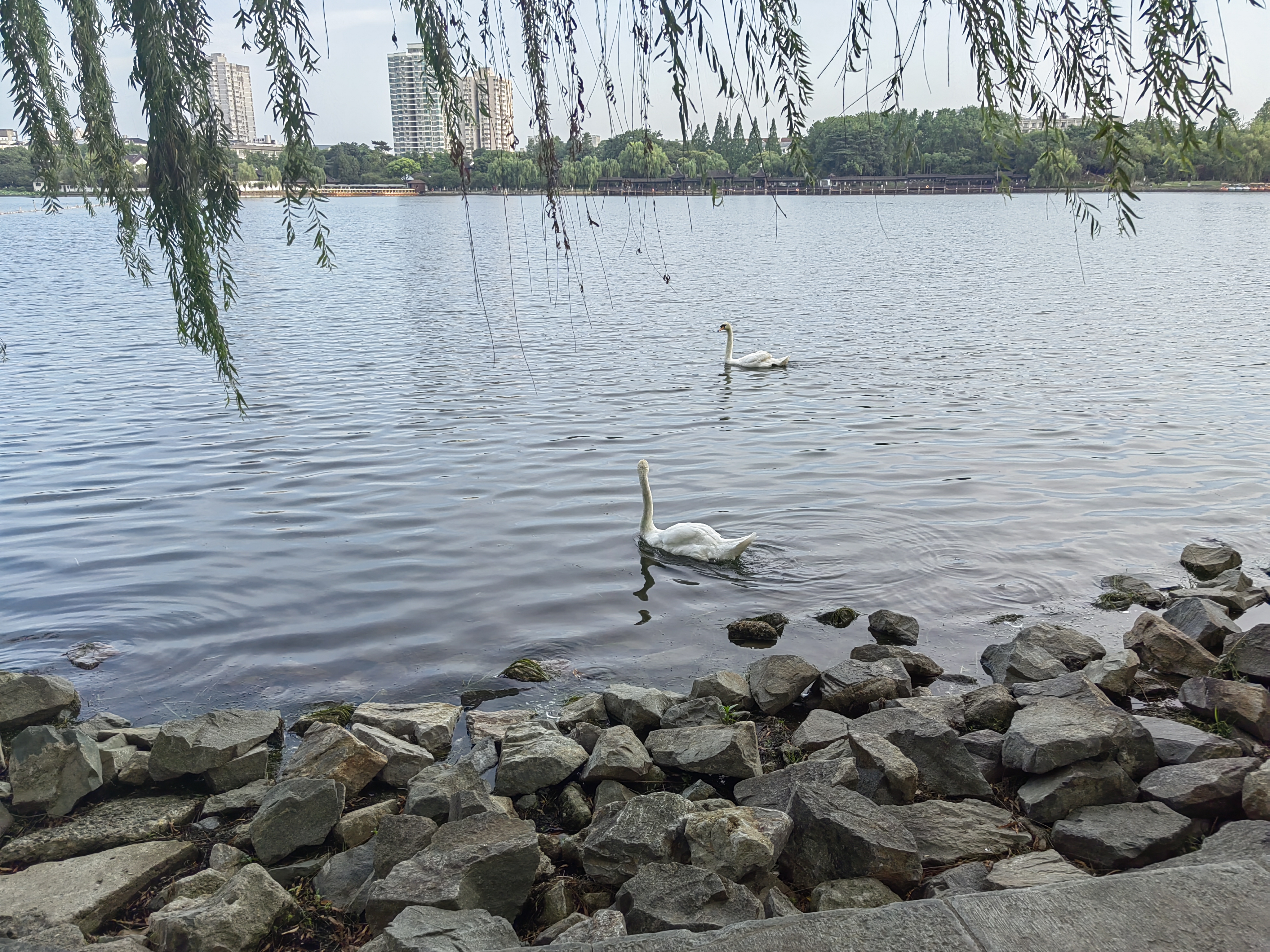 二阶常系数非齐次微分方程求解