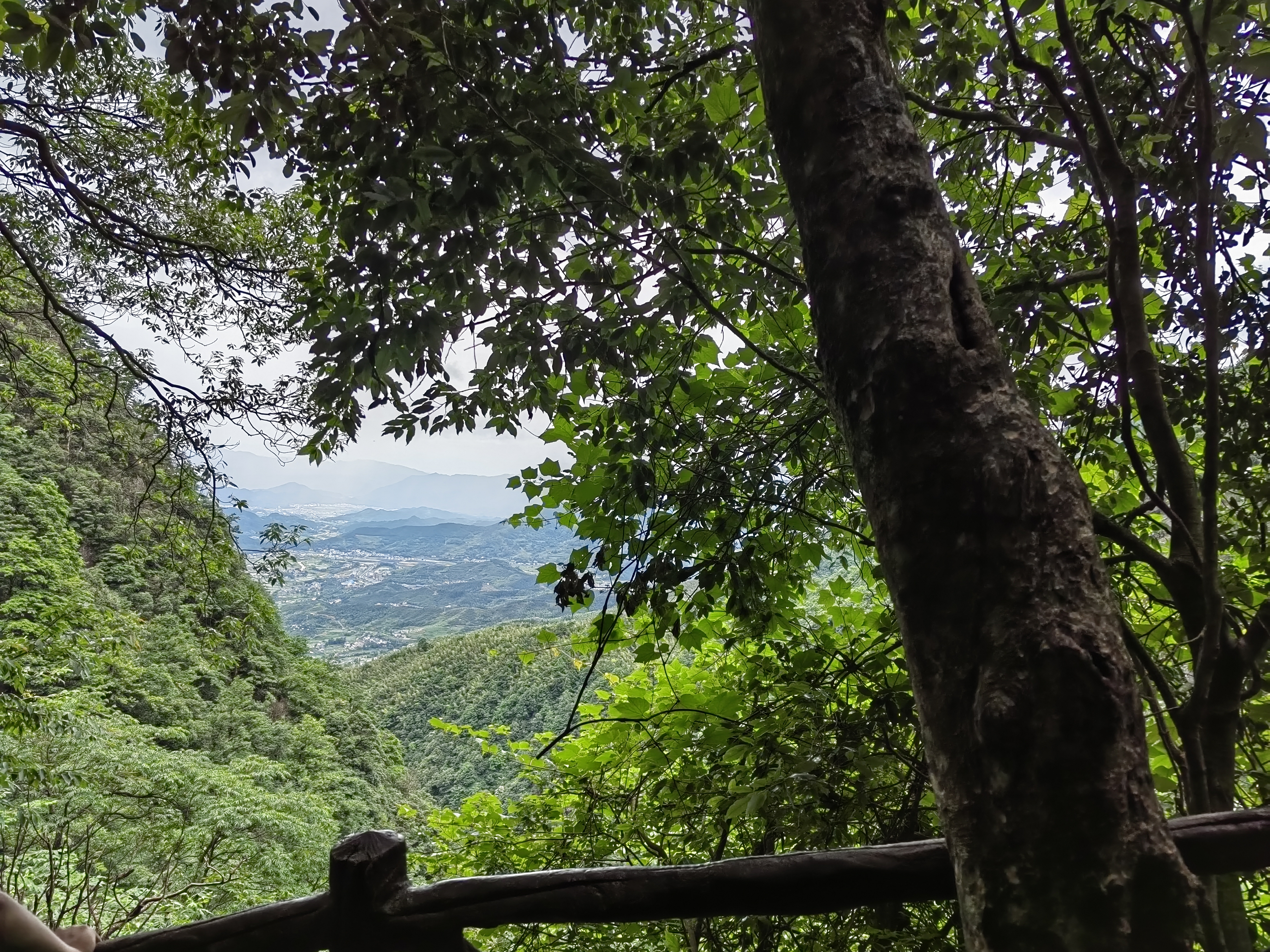 番茄勇者RPG开坑记